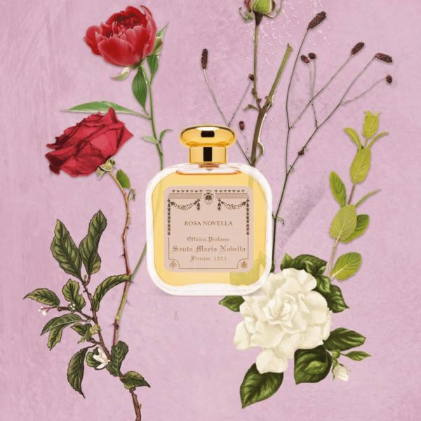 Santa Maria Novella Rosa Novella EDC (100 ml) #10087264 Discount - Image 3