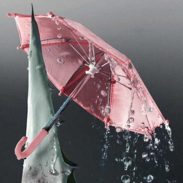 D.S. & Durga Jalisco Rain Candle (7 oz) #10088113 Online Hot Sale - Image 3